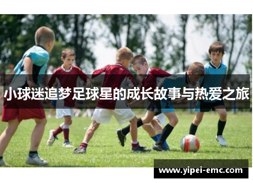 小球迷追梦足球星的成长故事与热爱之旅